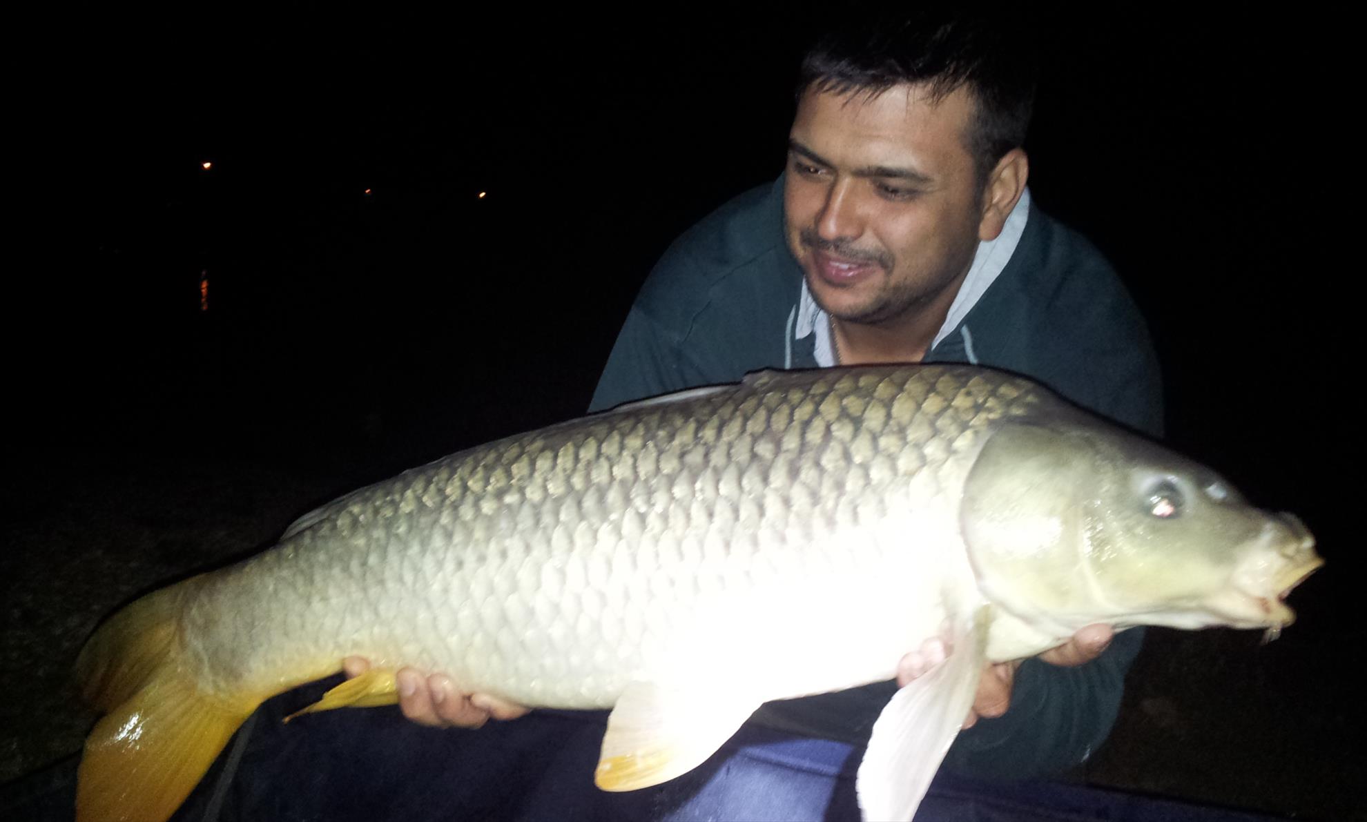 Hermes Peris 5 - 6 septembrie 2014 - 20140906023344.jpg